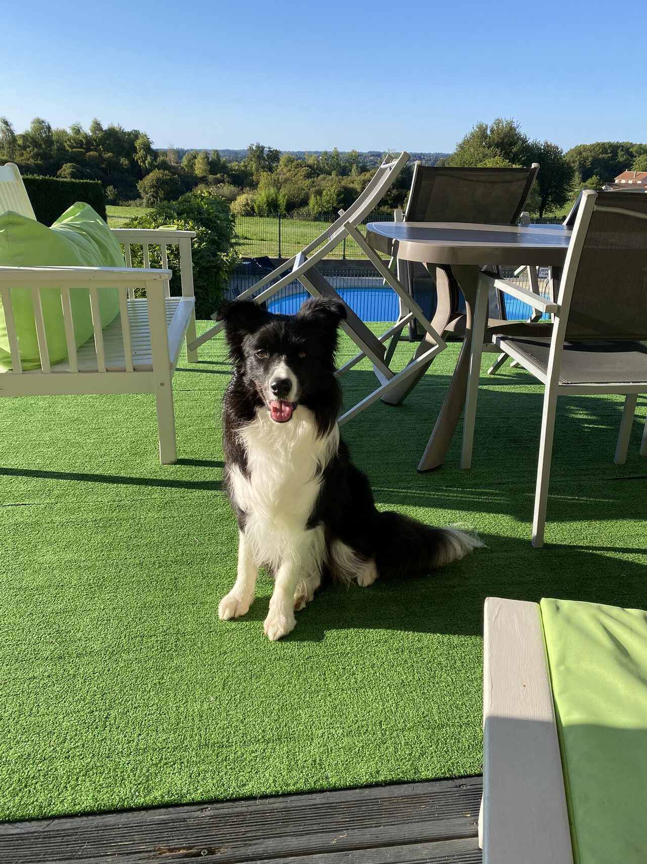 Bellevue Dordogne Gite Holiday home Dog friendly