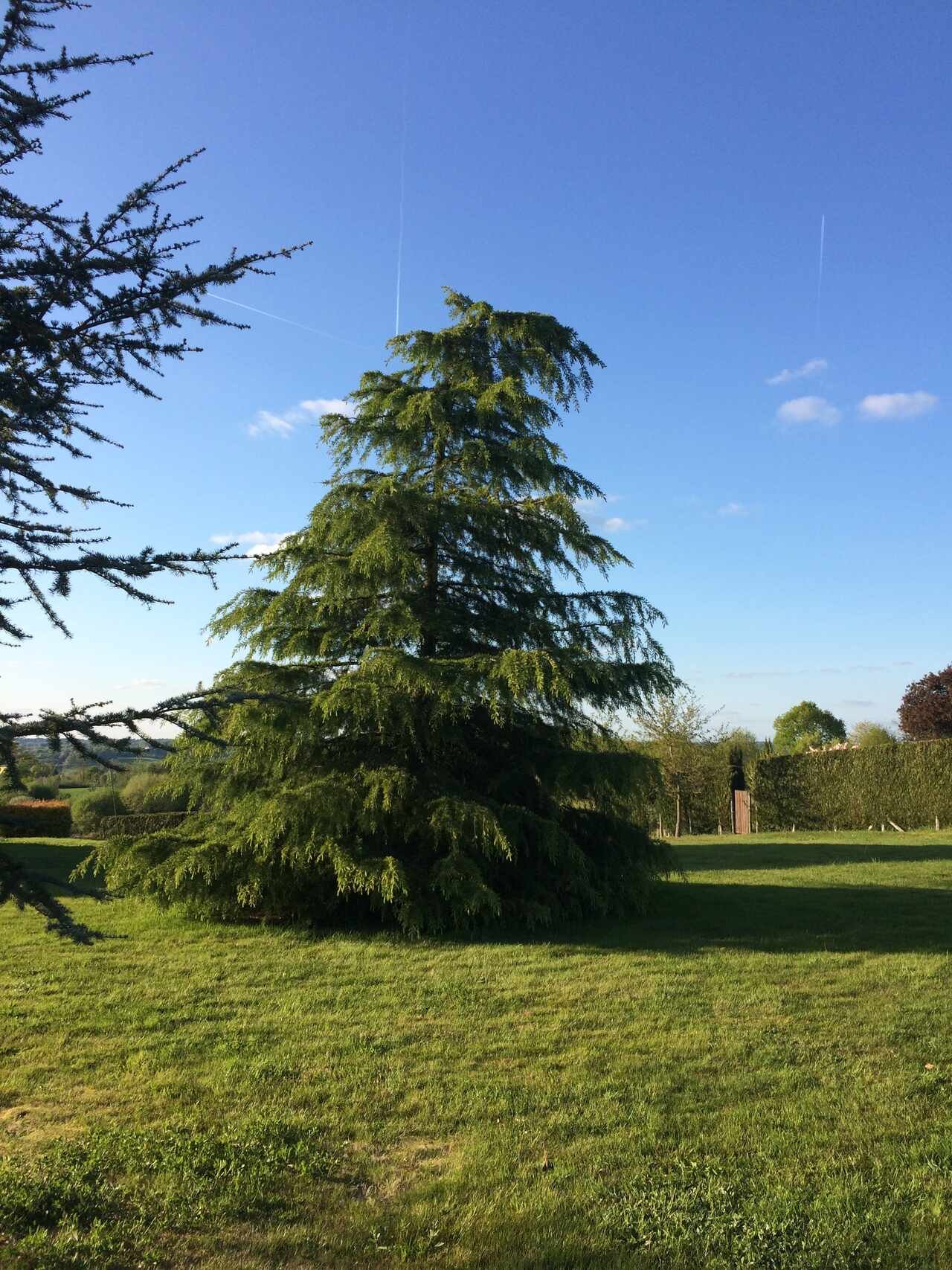 Bellevue Dordogne Gite front garden (2)