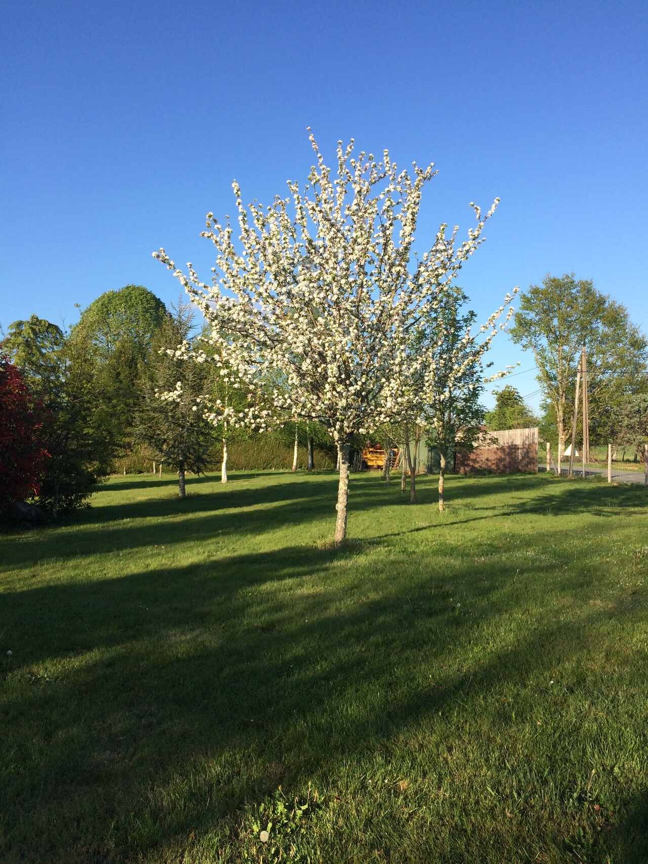 Bellevue Dordogne Gite front garden