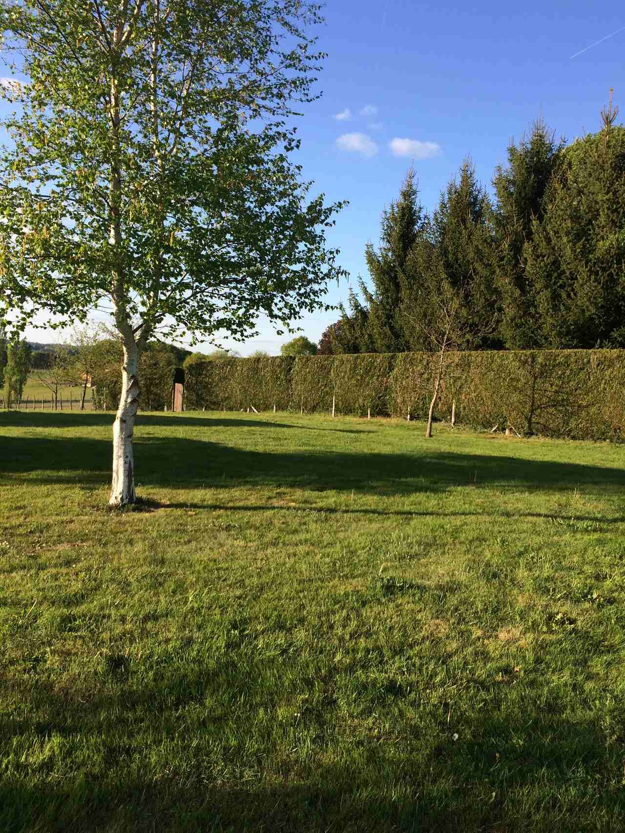 Bellevue Dordogne Gite side garden